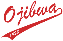 Camp Ojibwa For Boys logo